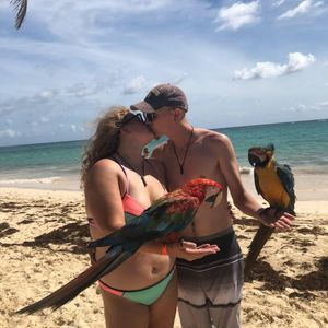 Meet your Posher, Morgan